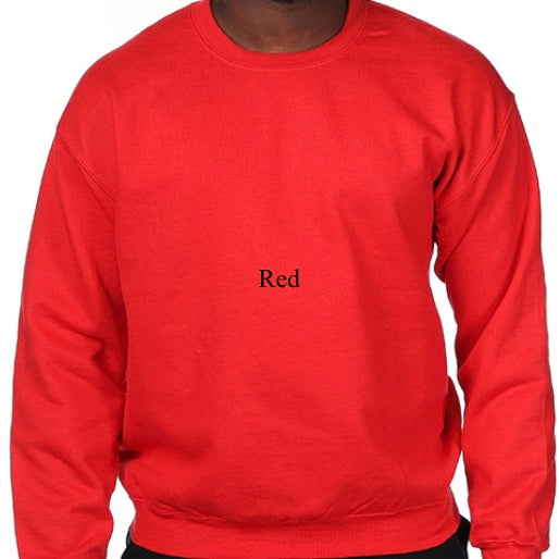 Color Block Initial Sweatshirt