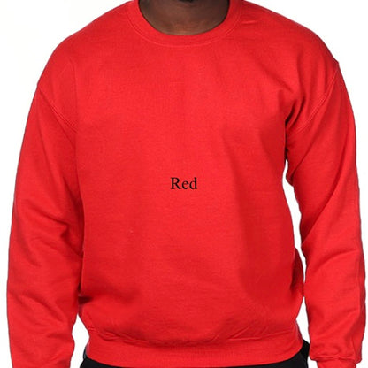 Color Block Initial Sweatshirt