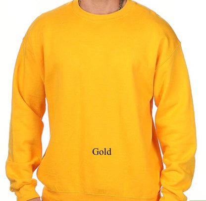 Color Block Initial Sweatshirt