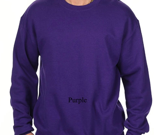 Color Block Initial Sweatshirt