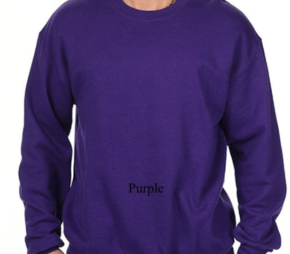 Color Block Initial Sweatshirt